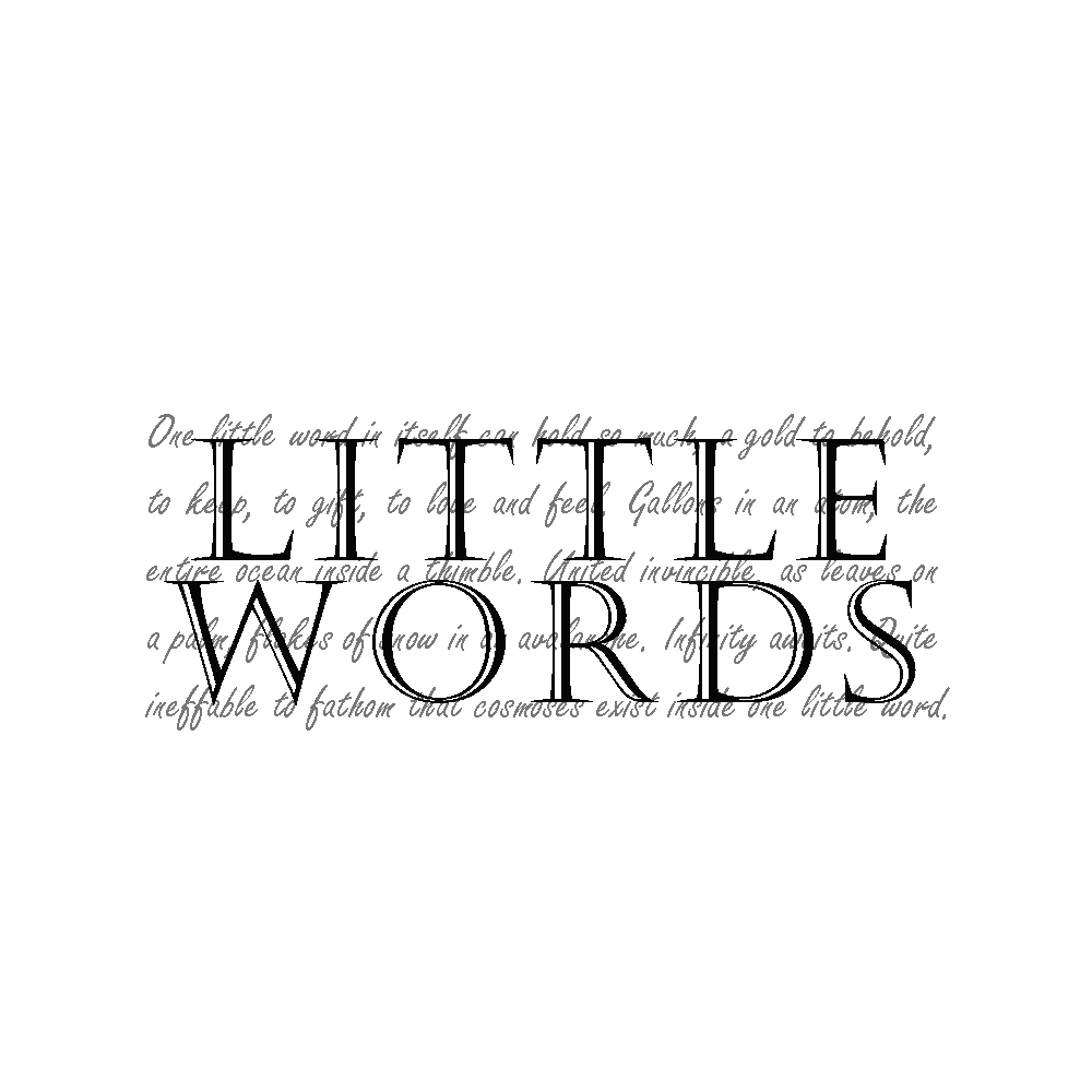 The Little Words Limited Writing, Editing and SEO Professional Development Workshop